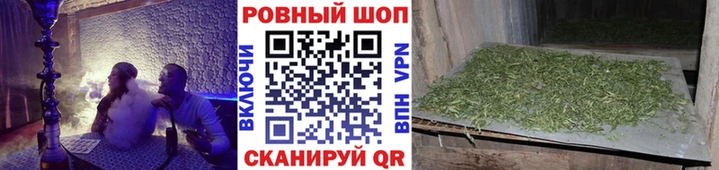 Цена Берёзовка Гашиш СК Кокаин Меф Марихуана