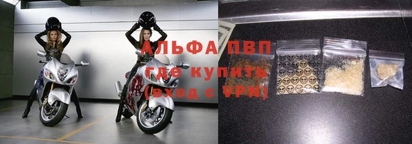 сатива Абинск