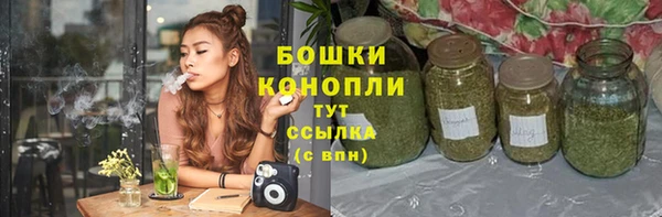 сатива Абинск